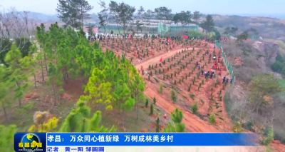 孝昌：万众同心植新绿 万树成林美乡村