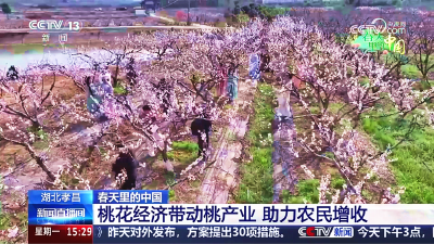 赏花热 苗木俏 采摘乐 孝昌“春日经济”热力十足