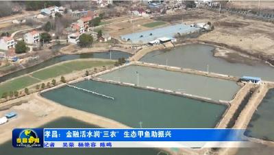孝昌季店：金融活水润“三农” 生态甲鱼助振兴