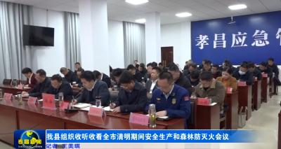我县组织收听收看全市清明期间安全生产和森林防灭火会议