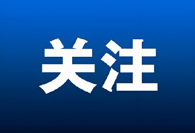 全国政协常委王红玲：让“粗枝大叶”变成茶农增收致富的“金枝玉叶” 