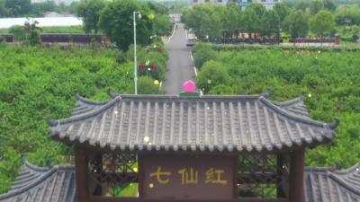 2025年3月31日《孝昌新闻》