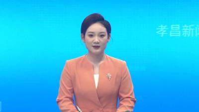 2025孝感孝文化旅游节·孝昌桃源赏花季青年人才交友联谊活动举行