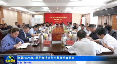 全县2025年3月份经济运行形势分析会召开