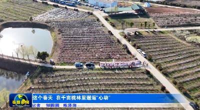 这个春天，在千亩桃林里邂逅“心动” 