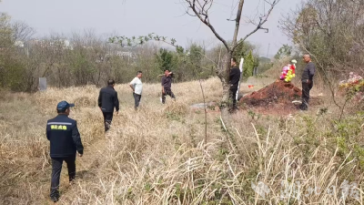 孝昌小河：筑牢森林防火“安全墙”  护好绿水青山“生命线”