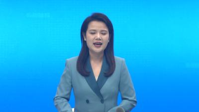 孝昌：春茶管护忙 农技专家为十一万亩茶园“送良方”