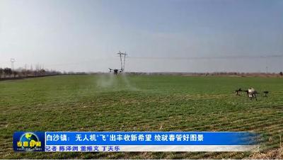 白沙镇：无人机“飞”出丰收新希望 绘就春管好图景