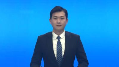 孝昌县第二届“迎老乡、回故乡、建家乡”乡情恳谈会召开