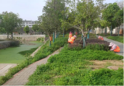 孝昌小河：巩固提升园林绿化  厚植生态宜居底色