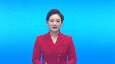 孝昌：茶香四溢 11万亩春茶采摘忙