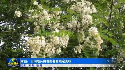 孝昌：田间地头藏着的春日限定美味