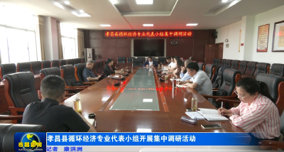 孝昌县循环经济专业代表小组开展集中调研活动