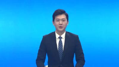 邹岗镇：春茶采制忙  茶香富一方