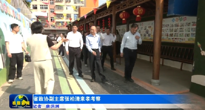 省政协副主席张柏清来孝考察 