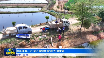 孝昌：20余万尾鲈鱼苗“游”出致富路