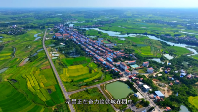 织致富路网 绘振兴宏图！孝昌县“路长制”示范线创建工作纪实
