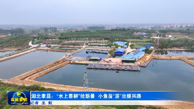 孝昌：“水上春耕”绘新景 小鱼苗“游”出振兴路