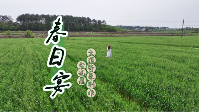 春日宴丨一口吃下孝昌整个春天