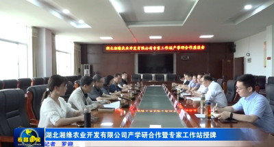 湖北湘缘农业开发有限公司产学研合作暨专家工作站授牌仪式举行