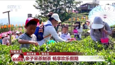 央视关注孝昌：亲子采茶制茶 畅享欢乐假期