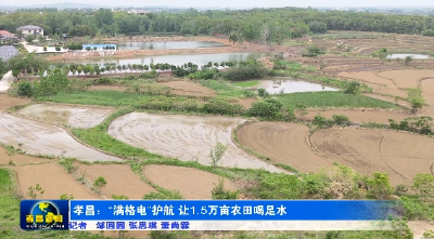 孝昌：“满格电”护航 让1.5万亩农田喝足水
