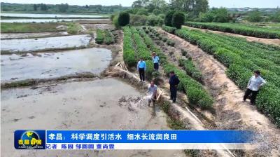 孝昌：科学调度引活水  细水长流润良田