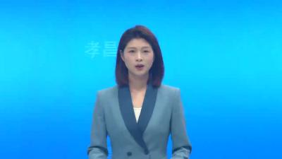 李惠芬调研孝昌经济开发区重点项目建设情况