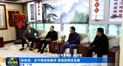 陈宏斌：赤子情深报桑梓 商海架桥促发展