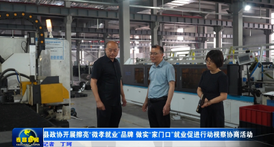 县政协开展擦亮“微孝就业”品牌 做实“家门口”就业促进行动视察协商活动