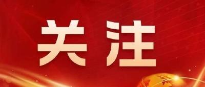“文化+科技”点亮荆楚之美 第二十一届深圳文博会湖北馆抢“鲜”看