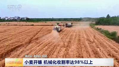 央视关注孝昌：小麦开镰  机械化收割率达98%以上