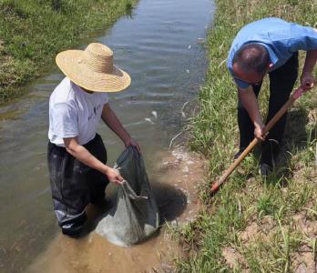 孝昌白沙：多措并举抗长旱  干群同心保民生