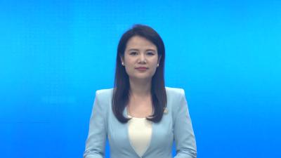 孝昌：小麦开镰  颗粒归仓