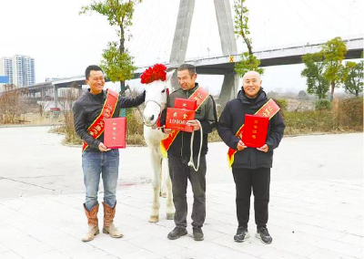 东湖评论：白马当选“湖北好人”，是对动物伙伴道德价值的深情褒奖