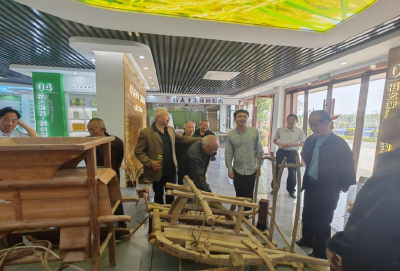 干部素质提升年丨凝聚“银发力量”  赋能地区高质量发展