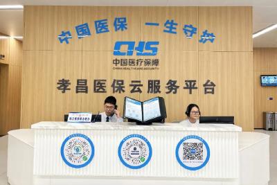 零跑腿，秒响应！孝昌医保“视频办”