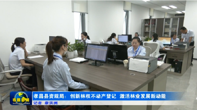 孝昌县资规局：创新林权不动产登记 激活林业发展新动能