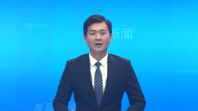 小河镇：茭白喜丰收  田间采收忙