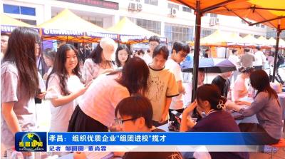 孝昌：组织优质企业“组团进校”揽才