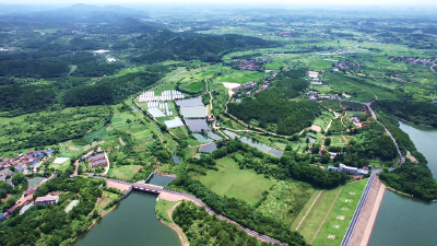 孝昌金盆湖村：“红色引擎”驱动美丽蝶变 