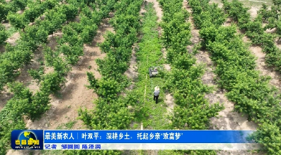 最美新农人丨叶双平：深耕乡土 托起乡亲“致富梦”
