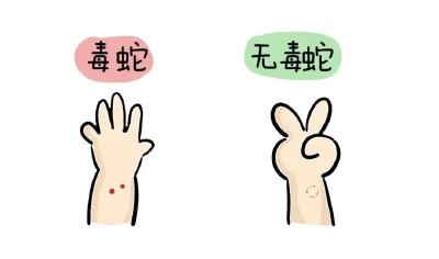 已进入活跃期！防蛇安全指南，转发收藏！ 