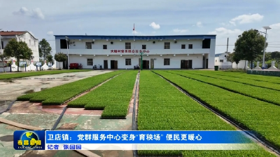 卫店镇：党群服务中心变身“育秧场” 便民更暖心