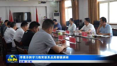 李惠芬到学习教育联系点周巷镇调研
