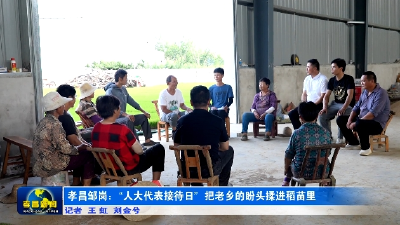 孝昌邹岗：“人大代表接待日” 把老乡的盼头揉进稻苗里