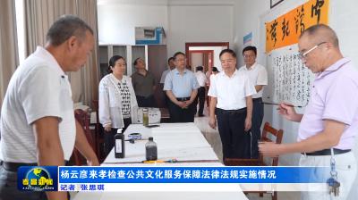 杨云彦来孝检查公共文化服务保障法律法规实施情况