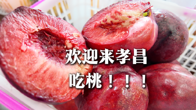 桃醉荆楚·香约孝昌丨桃子的盛宴怎么能缺少主角？桃子纯享版馋哭你，快来孝昌吃桃啊啊啊！
