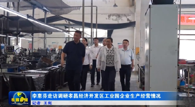 李惠芬走访调研孝昌经济开发区工业园企业生产经营情况 