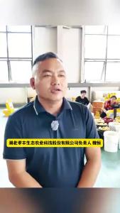 孝昌丰山桃子“鲜”人一步！冷链物流分拣中心启动，速度升级，质量保障，更快更新鲜！